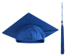 Royal Blue 