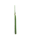 Medium Green / White with Previous Year Charm (Color as pictured)