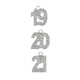 OVERSTOCK- Bling Year Charm - Final Sale