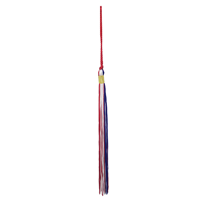 URATOT 8 Pieces 2020 Red Graduation Tassels with 2020 Year Charm Graduation Cap Tassels for Graduation